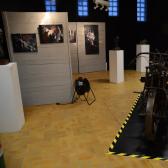 Ratna exposition 