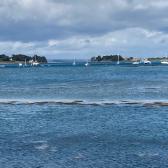 arzon